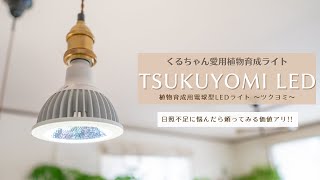 Plant growth light *TSUKUYOMI LED 20W] Review of Kuru-chan's