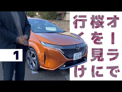 Going to see cherry blossoms with Aura] Heading out to see the