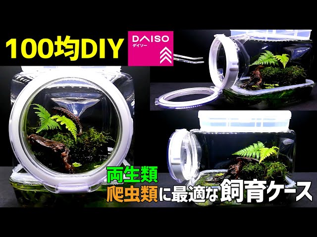 100均DIY】透明度が高くてメンテナンスしやすい飼育ケースの作り方