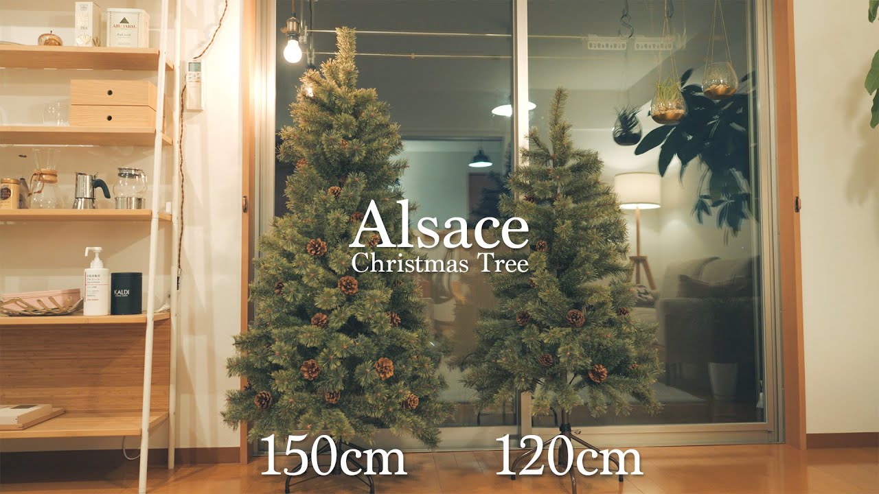クリスマス】アルザスツリー150cmと120cmを比較！ - YouTube