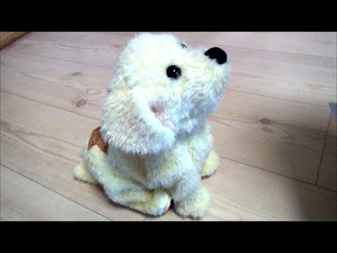 Our Super Dog Lucky Standing Up - YouTube