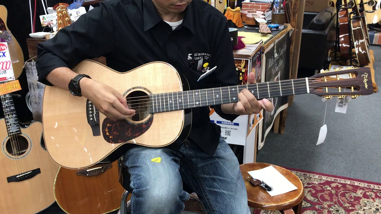 TAKAMINE SA461N - YouTube