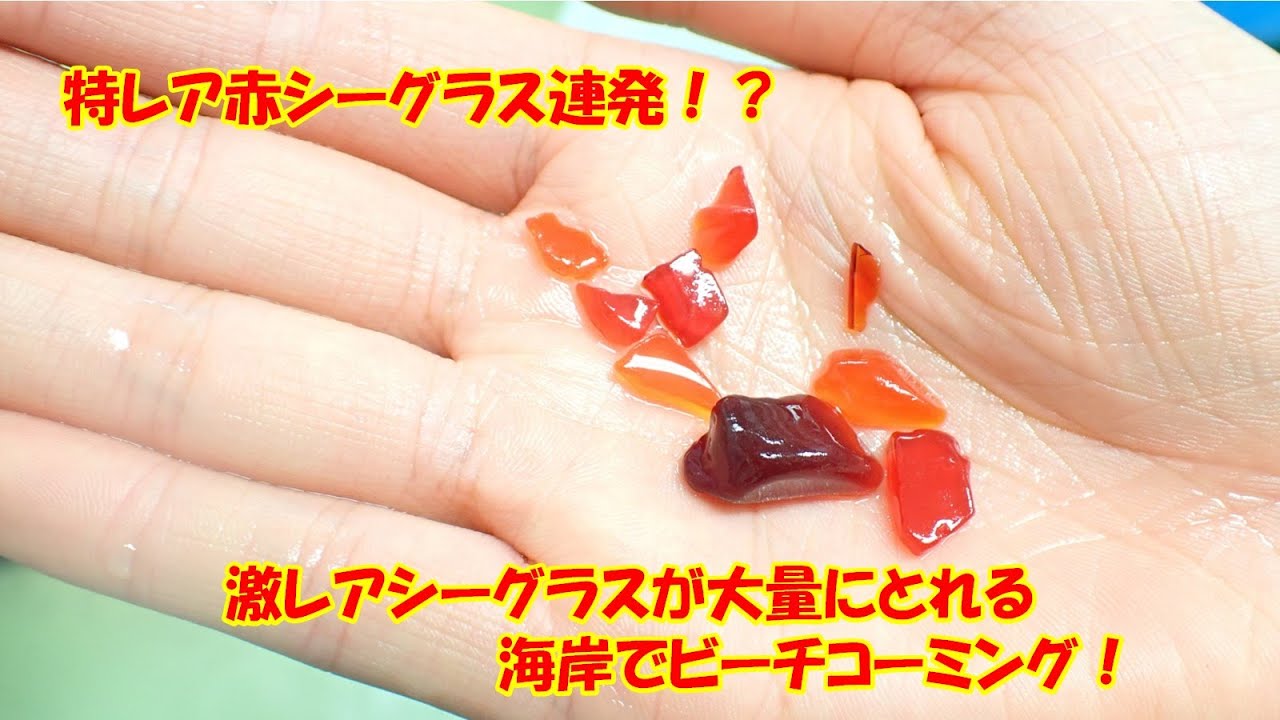 超貴重な赤シーグラスがこんなに！？レアカラーが無限に取れる海岸で