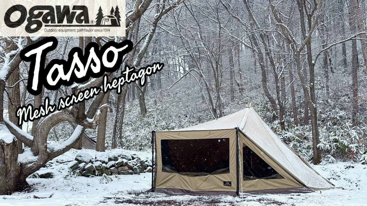 2024年新作ogawaタッソメッシュスクリーンヘプタゴン/使用レビュー