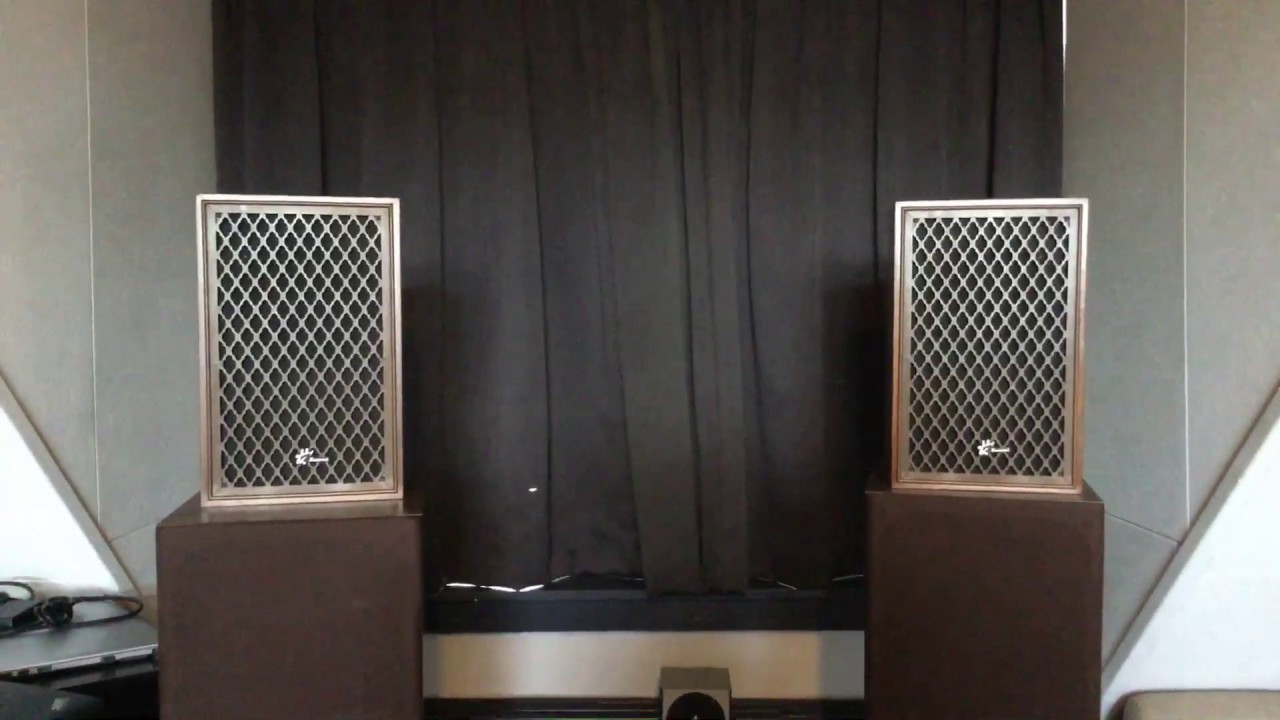 Sansui SP-10 Fullrange F-10 6,5