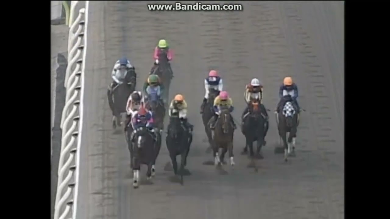 2008 東京大賞典 カネヒキリ - YouTube