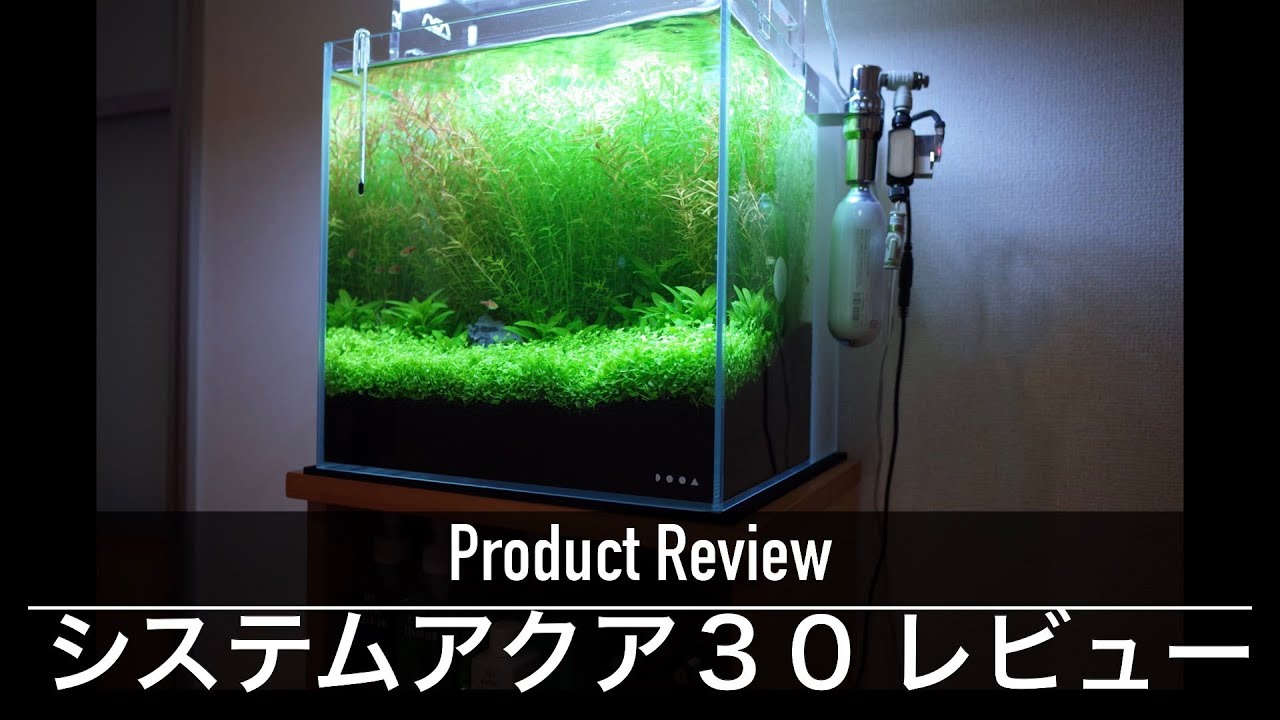 アクアリウム】実際どうなの？DOOAシステムアクア30をレビュー DOOA
