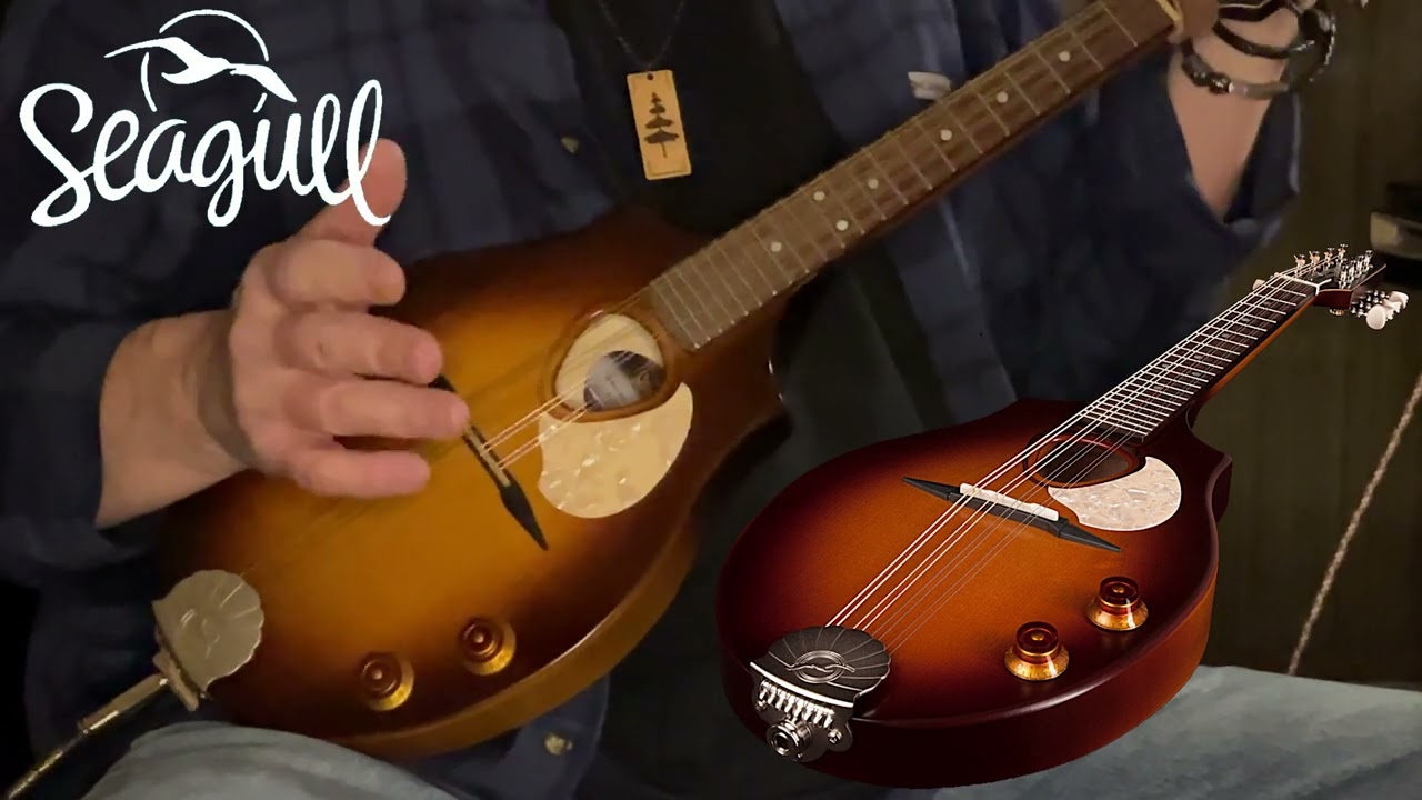 Seagull S8 Mandolin - YouTube