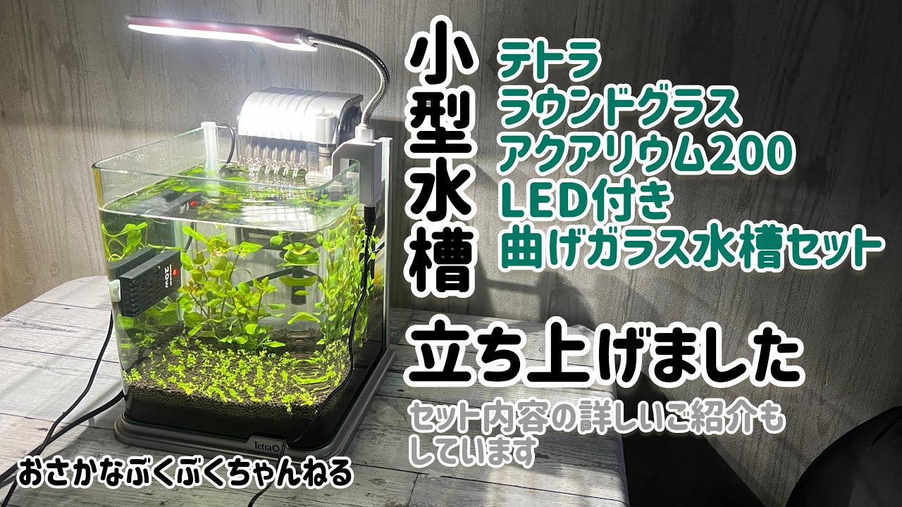 小型水槽】テトラ ラウンドグラスアクアリウム 200 LED 曲げガラス水槽