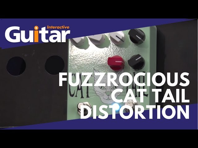Fuzzrocious Cat Tail Distortion Pedal | Review - YouTube
