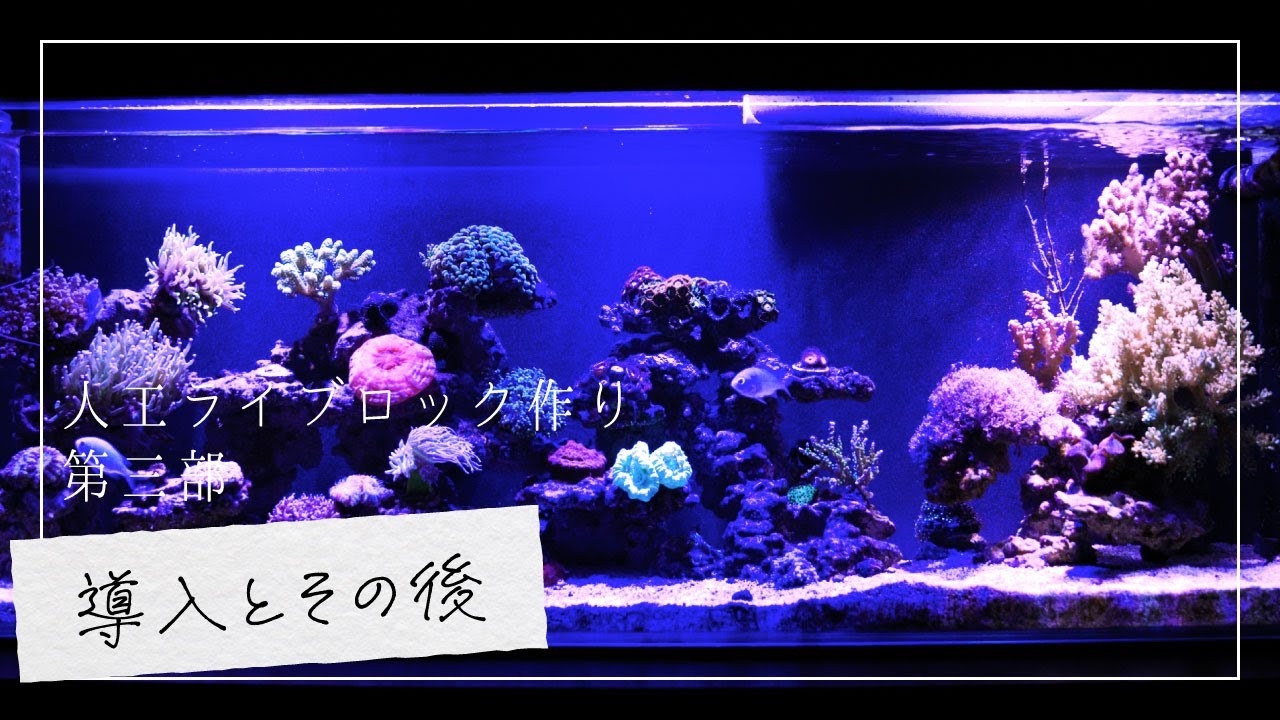海水魚水槽】顔料とセメントで作る人工ライブロック【第一部】 - YouTube