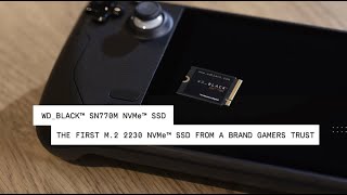 WDS500G3X0G | WD_BLACK SN770M シリーズ WDS500G3X0G