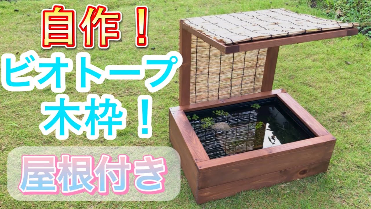 自作‼NVボックス用木枠でビオトープ立ち上げ」 メダカ ビオトープ 金魚