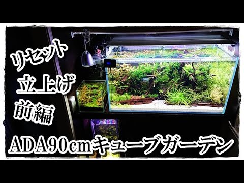 90㎝水槽リセット立上げ「前編」1/2【ADAｷｭｰﾌﾞｶﾞｰﾃﾞﾝ90series】(流木