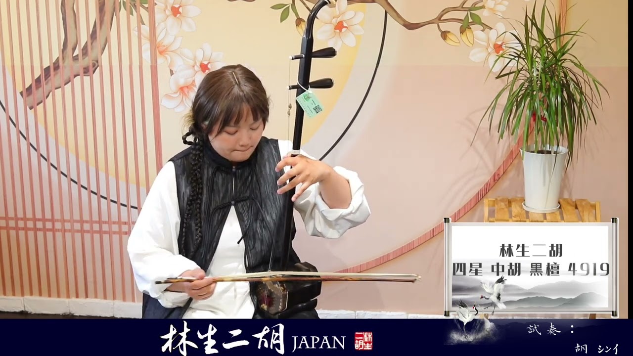 ◇店頭在庫◇【四星 中胡 黒檀 No.4919】林生二胡 陸林生 - YouTube