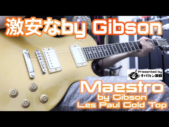 Maestro by Gibsonなのに超安いレスポール🎸Gold Topが渋い！Presented