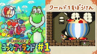 ヨッシーアイランド】ヨッシーと再び冒険。赤ちゃんマリオお届け