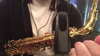 Woodstone Traditional Jazz 6】ウッドストーン製のマウスピース