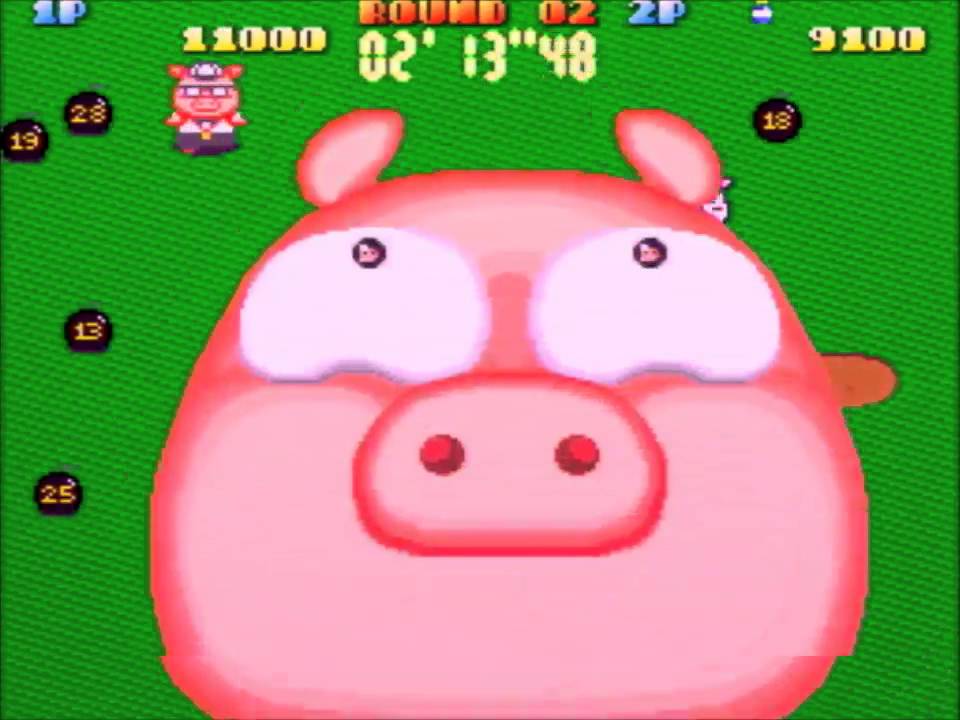 冬期超人五輪 3日目 第2種目「ぶたさん」（2016/1/31） - YouTube