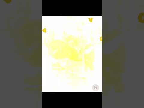 Tical Athletics - YouTube