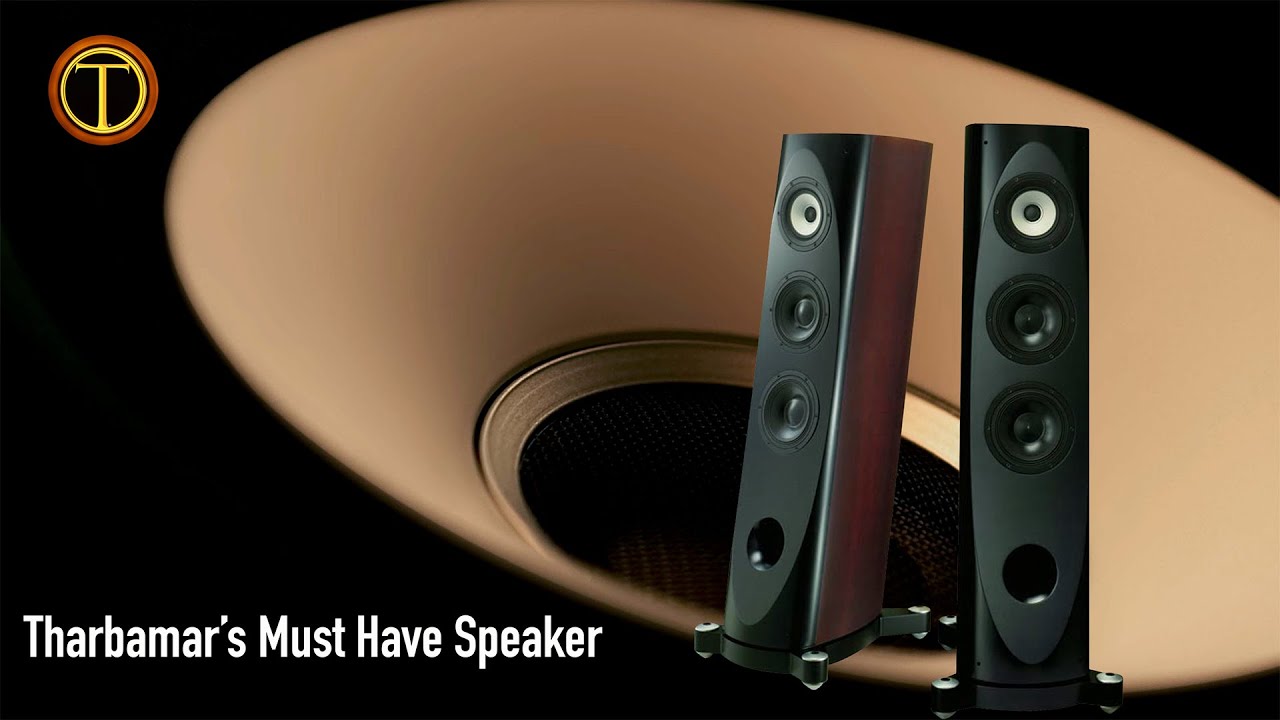 Pioneer S-1EX Speaker Review, TAD Sound For Less - YouTube