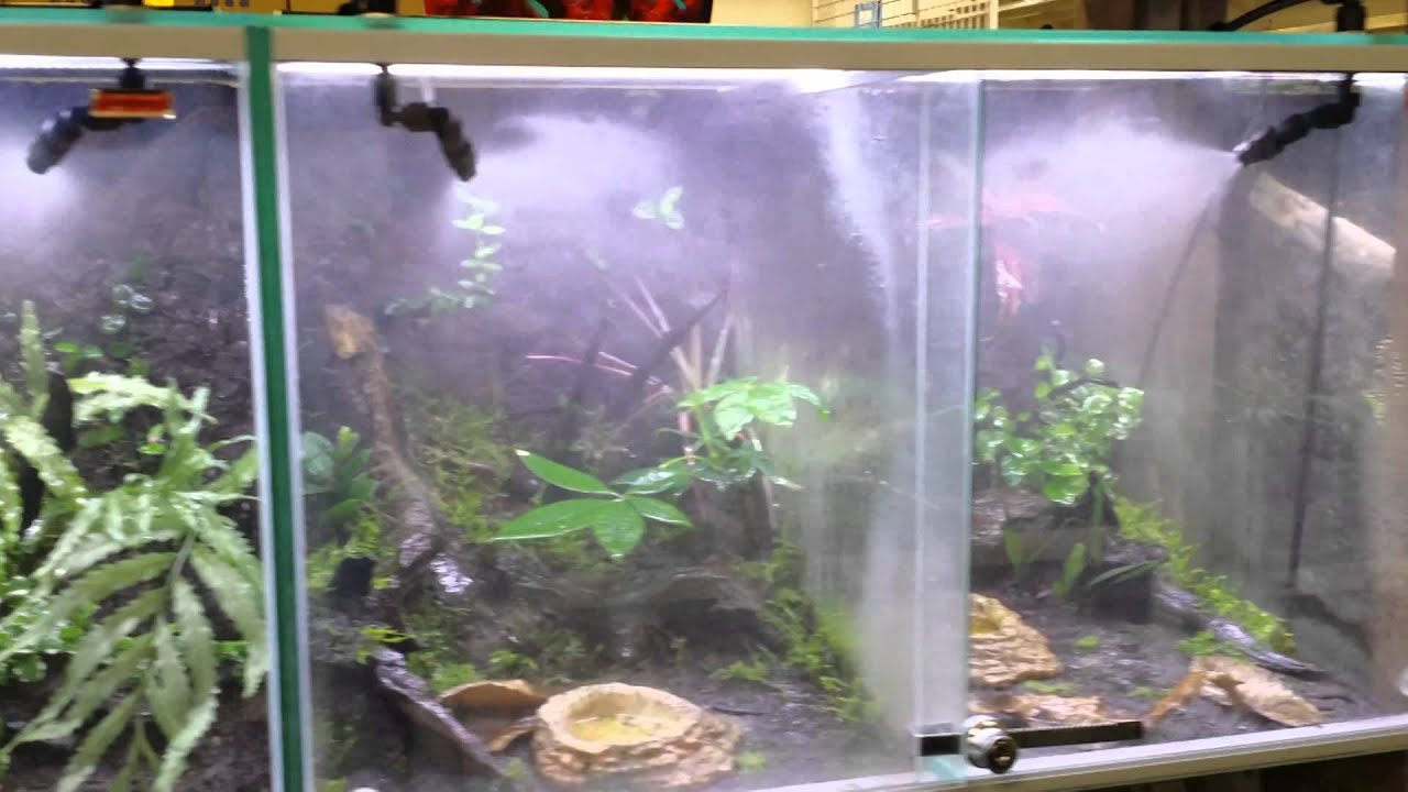 自動ミスティングシステム FORESTA (フォレスタ) - YouTube