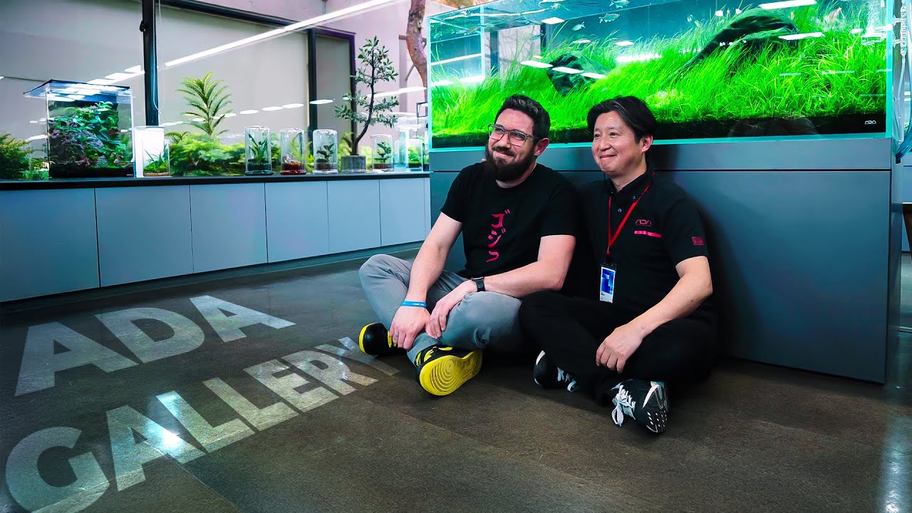 Inside the WORLD-FAMOUS Planted Aquarium Showroom in Japan