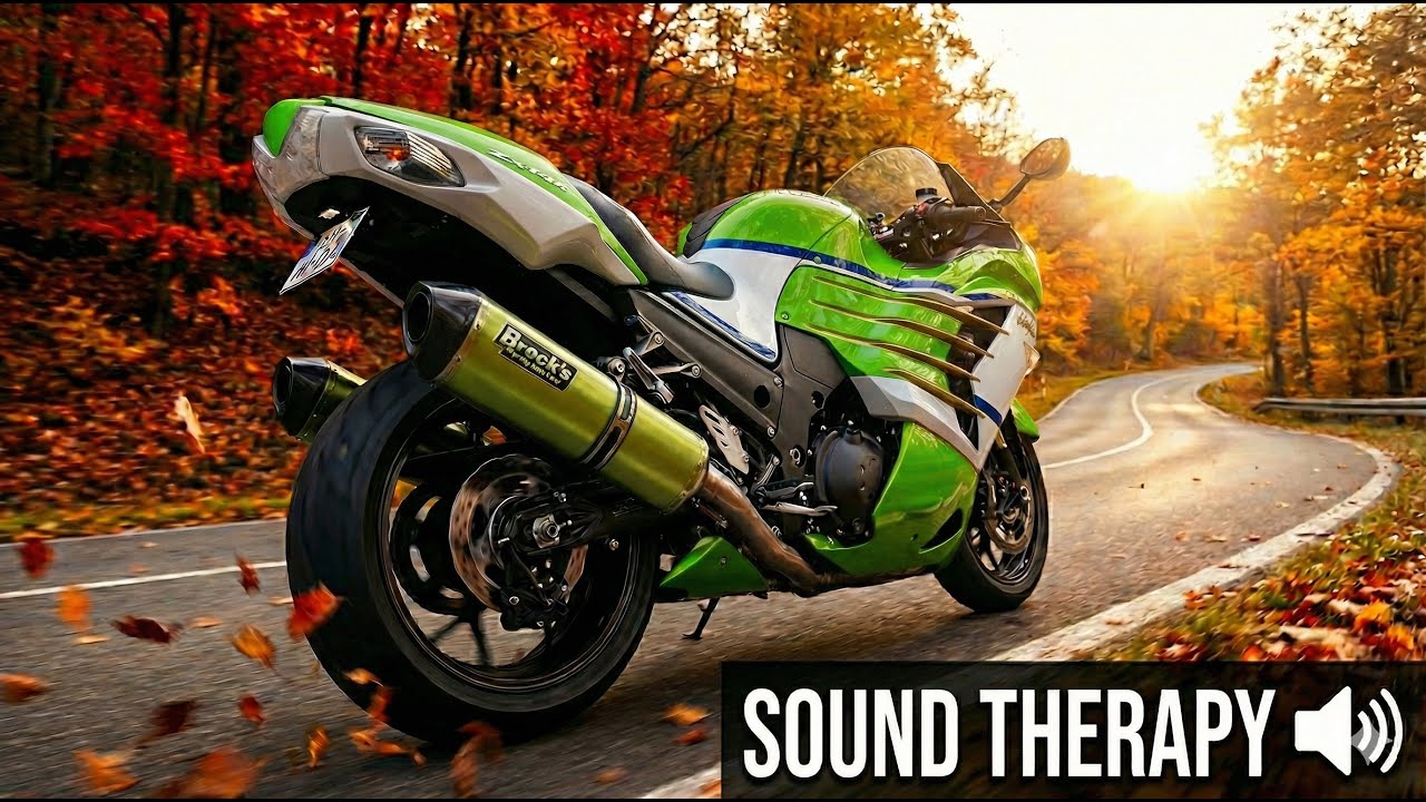 Sound Therapy. (ZX14R | Brocks | Autumn) - YouTube