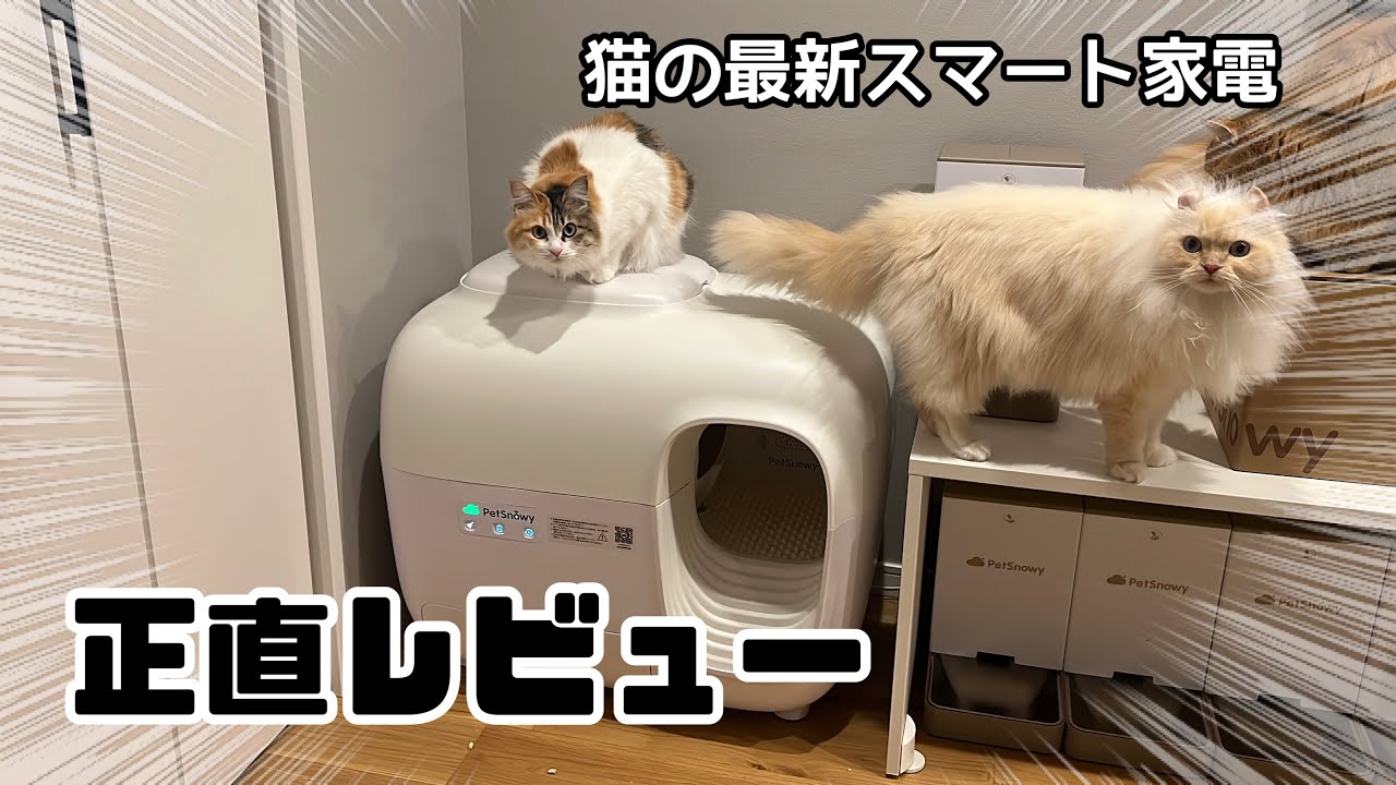 最新猫用自動トイレ使ってみたらQOL爆上がりした件 - YouTube