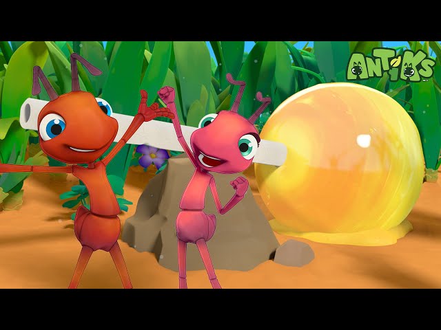 s*i様 正月セール！DeliciousTaylormade The ANTアン The Ant (Short