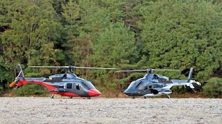 FullCustom Airwolf 600 ＆ Custom RedWolf AirwolfⅡ600 スケール