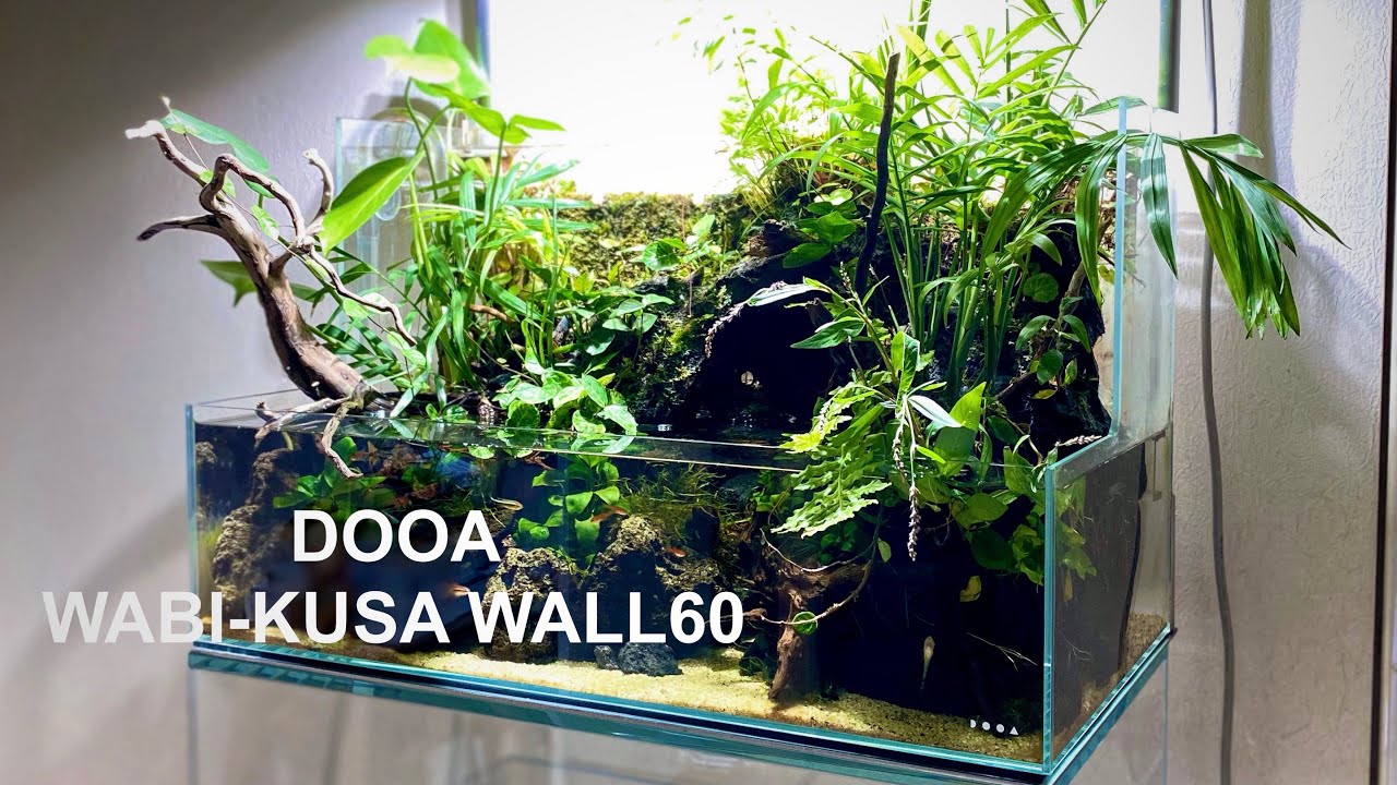 DOOA Wabikusa Wall 60 Setup Tutorial - Asian Aqua Terrarium