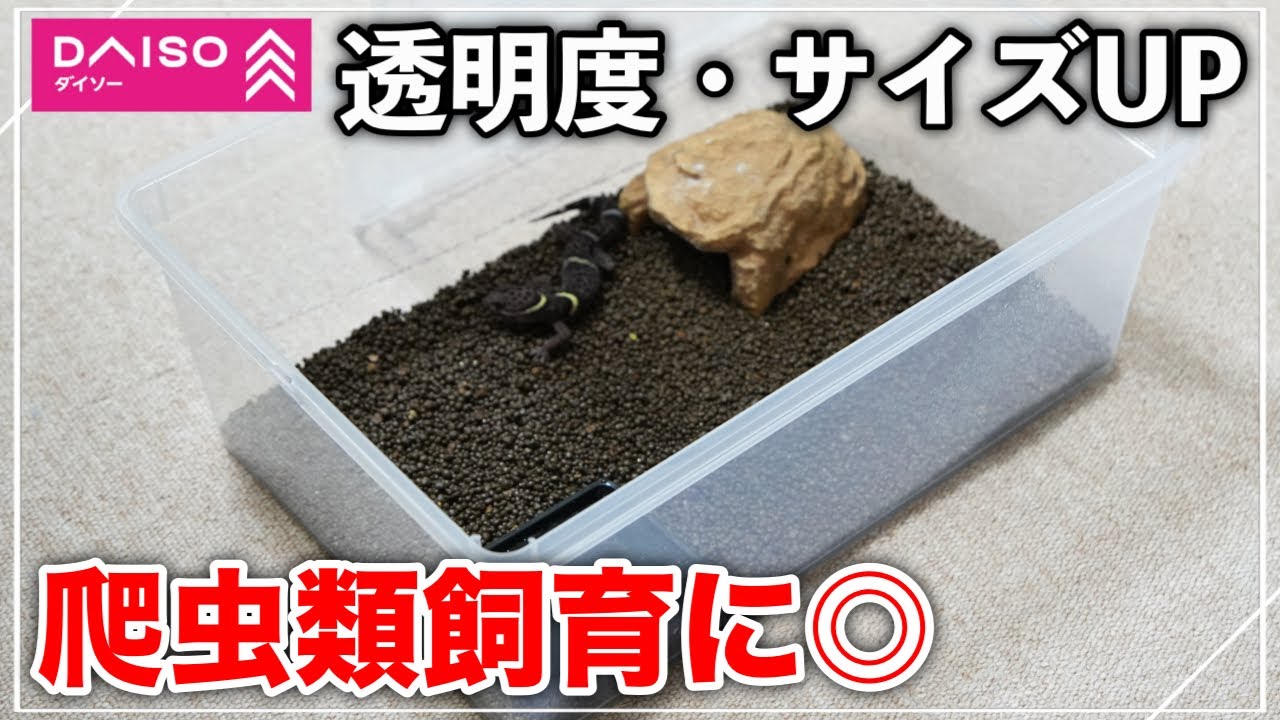 DAISOの新シューズケース、実際に使ってみた！ - YouTube