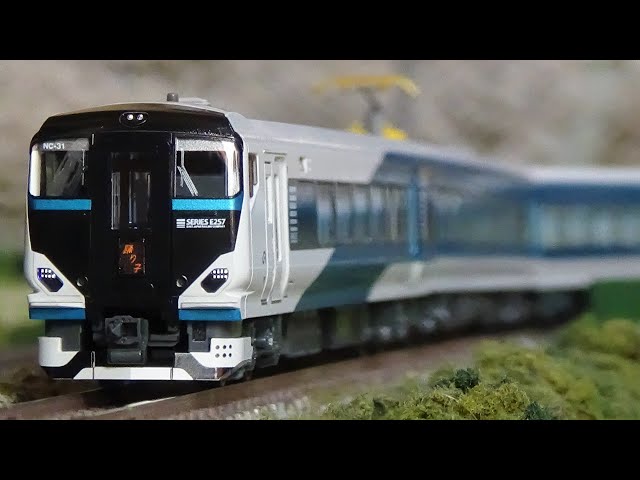 Nゲージ KATO E257系2500番台(+E257系2000番台) 踊り子 走行シーン集