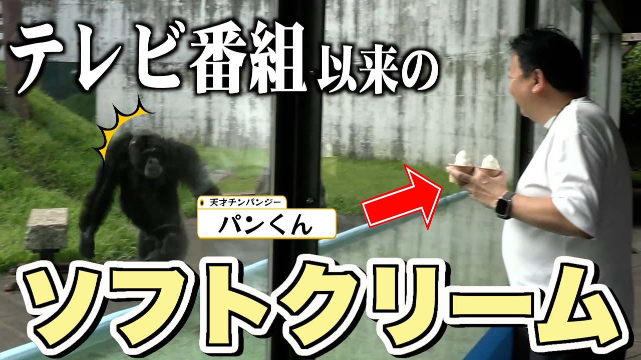 天才！チンパンジーパンくん】2025年🎍お正月🎍は「豪華✨三段重おせち