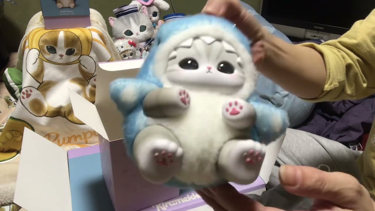 mofusand モフサンド きらめっこ BOX 開封 - YouTube