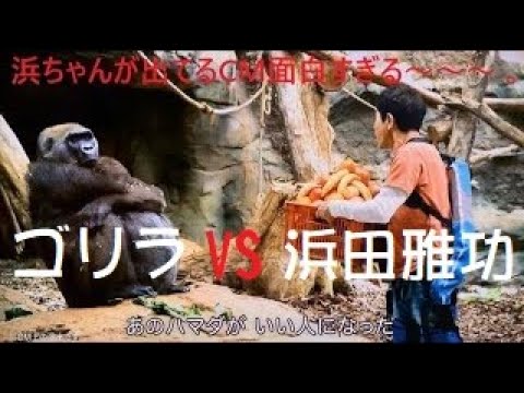 ダウンタウン浜田雅功 様♪ 浜ちゃんが出てるCM面白すぎる～～～ (σ