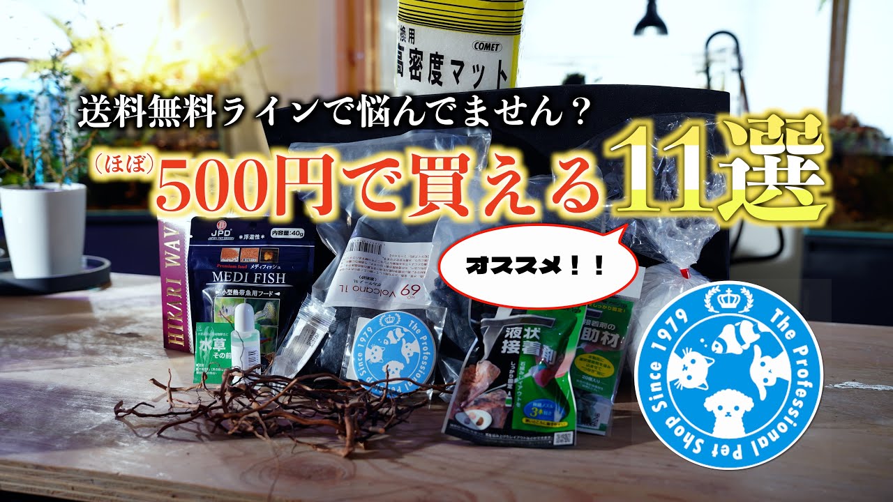 11 Aquarium Supplies] For when you're having trouble matching