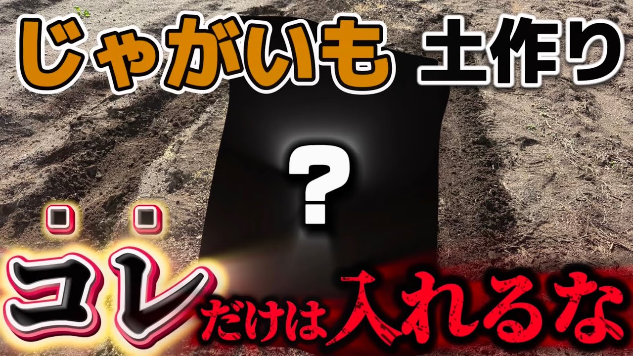 Potatoes] Absolutely no! Don't put this in the soil! We'll