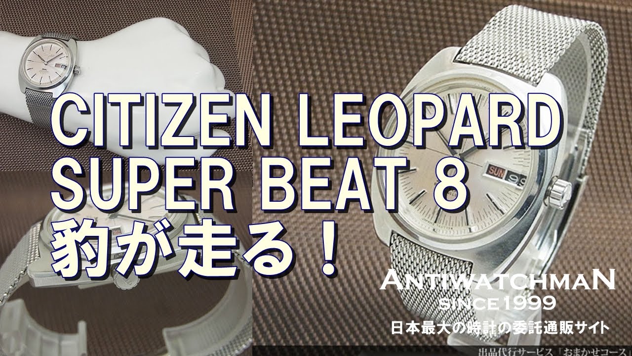 CITIZEN LEOPARD SUPER BEAT 8 豹が走る！ シチズン レオパール - YouTube