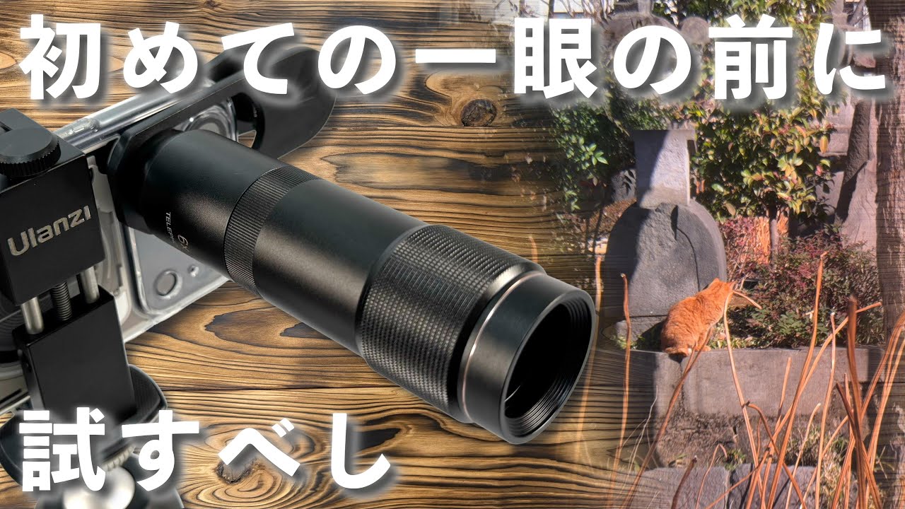 Don't buy that SLR just yet. Testing the capabilities of the THE