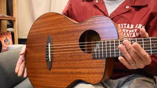 aNueNue aNN-M20E - guitarshoptantan （ギターショップタンタン）