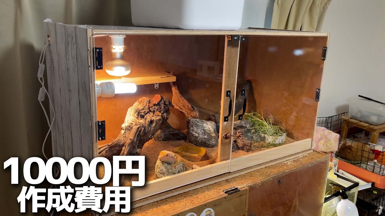 Awesome DIY reptile cage | 90cm | - YouTube