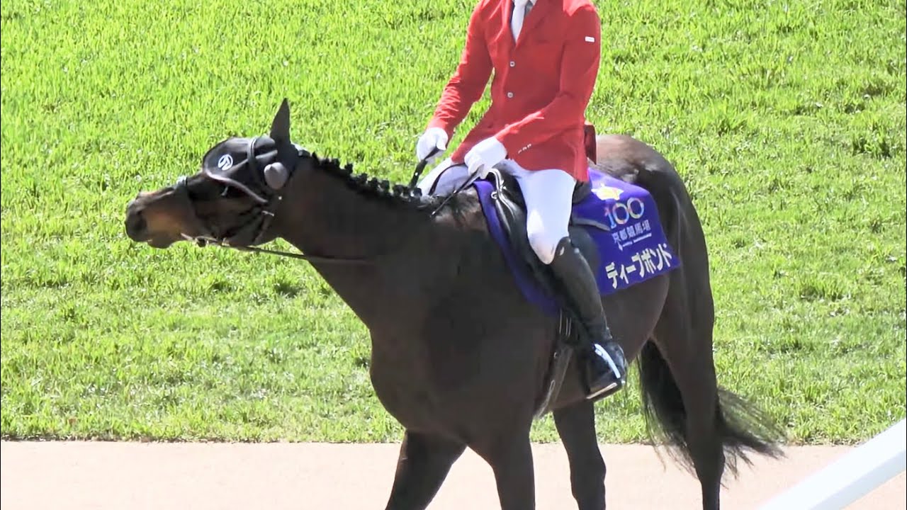 Appeared in the Emperor's Cup (Spring) for the fourth consecutive