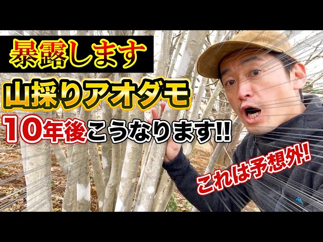 sddefault.jpg?v=61ea85c6