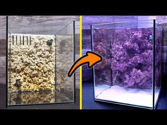 Remaking an aquarium used for a year with death rocks and homemade