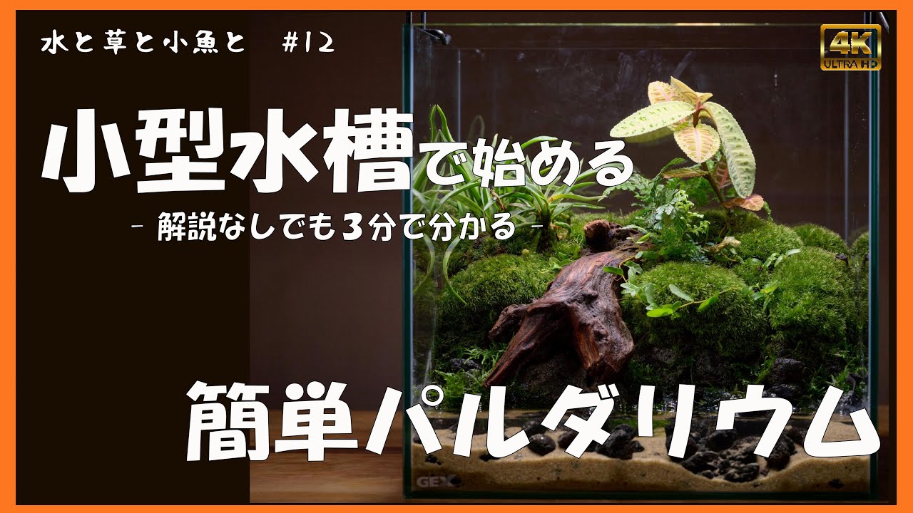 パルダリウム】 メンテが楽々！イモリ水槽を3分で！Aquarium Kind #12