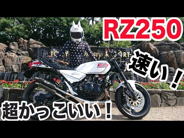 sddefault.jpg?v=5d6639bf