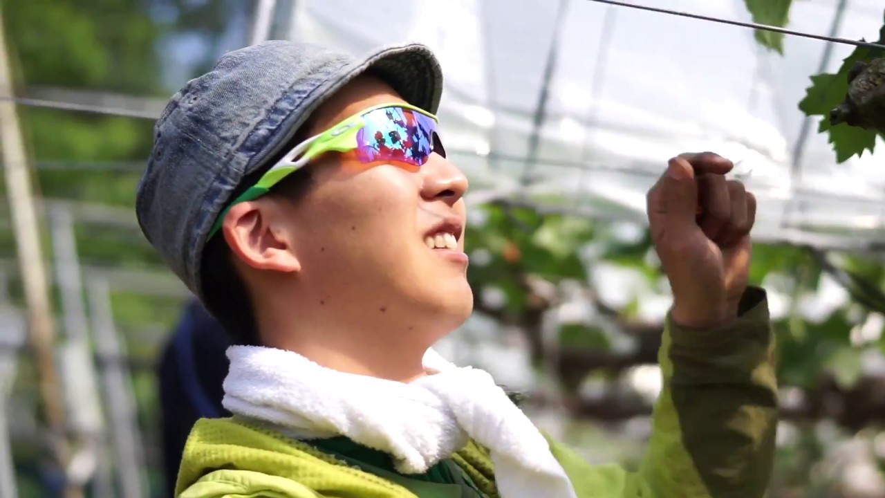 農業用のオススメサングラス 【オークリープリズムゴルフレンズ