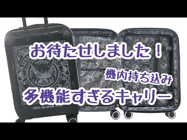 ダヤン】お待たせしました☆機能満載のハードキャリーが登場です！機内